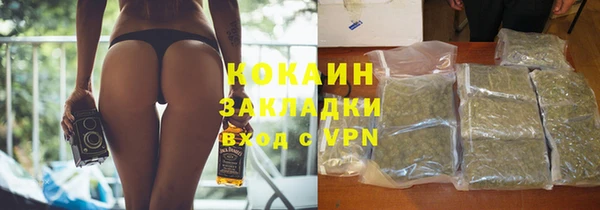 прущие крисы Горняк