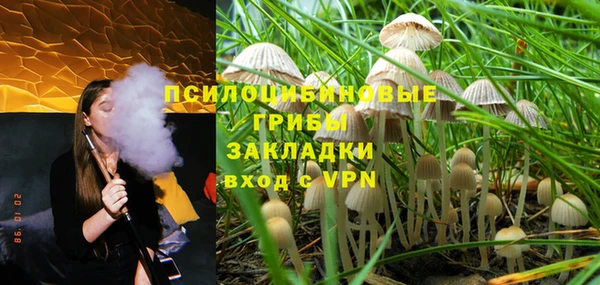 крисы Горнозаводск