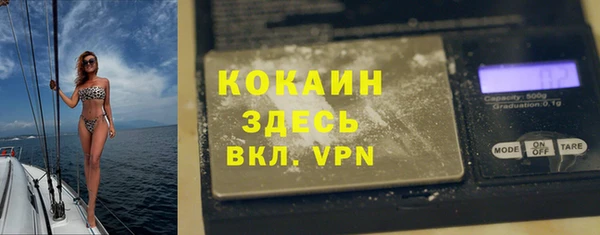 прущие крисы Горняк
