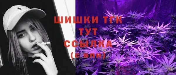 прущие крисы Горняк
