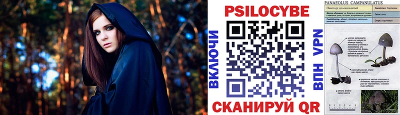 Купить закладки  Киселёвск  Галлюциногенные грибы ЛСД 